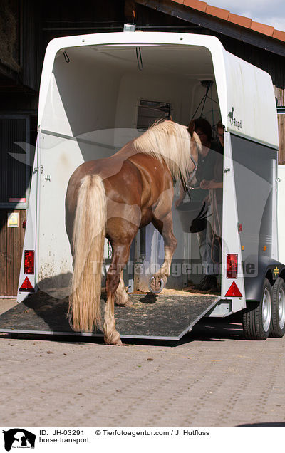 Pferde verladen / horse transport / JH-03291