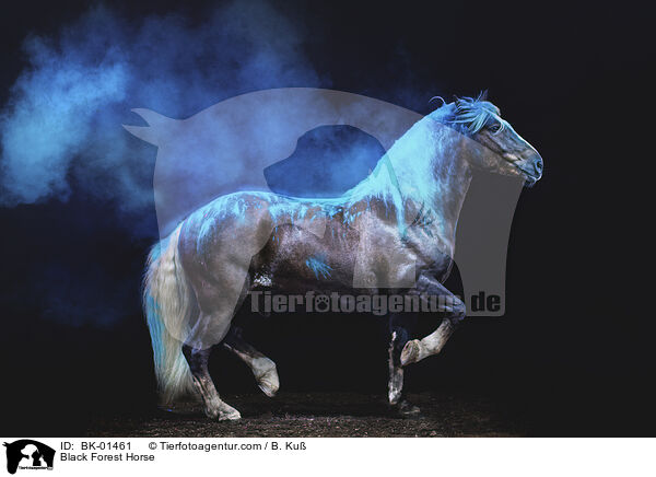 Black Forest Horse / BK-01461