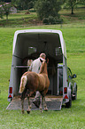 horse transport