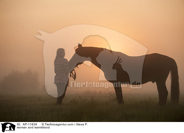 Frau und Brandenburger / woman and warmblood / AP-11839