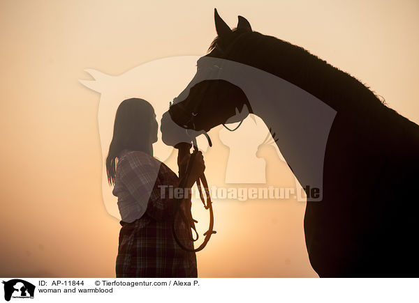 Frau und Brandenburger / woman and warmblood / AP-11844