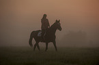 woman rides warmblood