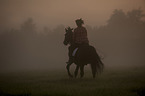 woman rides warmblood