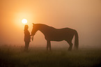 woman and warmblood