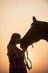 woman and warmblood