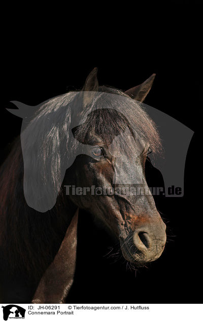 Connemara Portrait / JH-06291