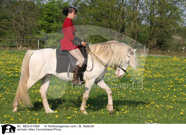 Frau reitet Connemara-Pony / woman rides Connemara-Pony / BES-01568