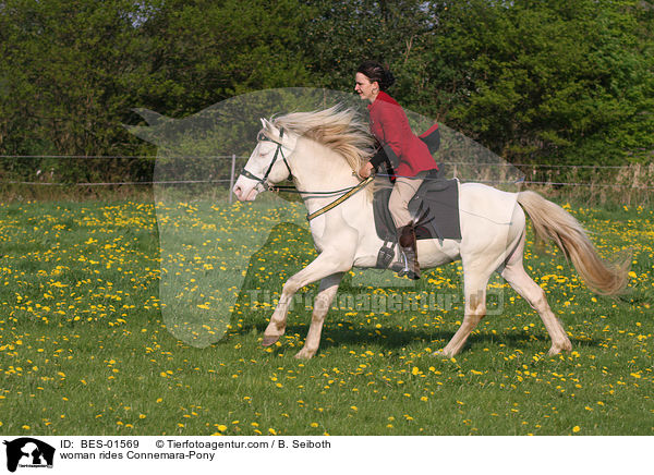 Frau reitet Connemara-Pony / woman rides Connemara-Pony / BES-01569