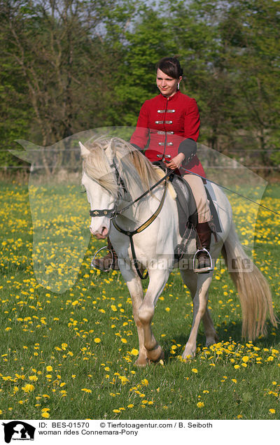 woman rides Connemara-Pony / BES-01570