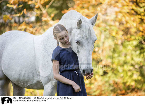 Connemara mit Kind / Connemara Pony with a child / JRO-01020