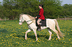 woman rides Connemara-Pony