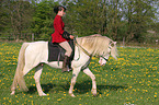 woman rides Connemara-Pony