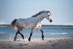 Connemara at the sea