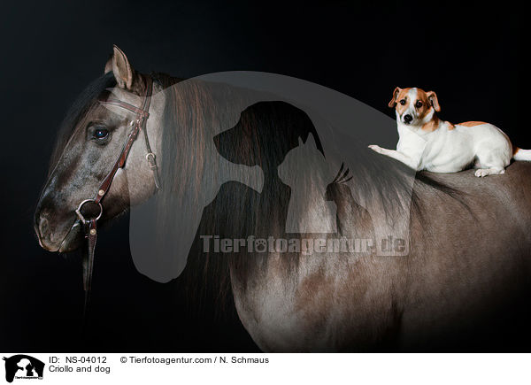 Criollo and dog / NS-04012