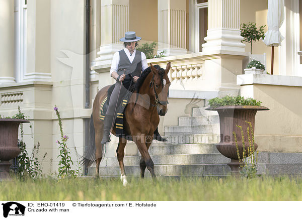 Cruzado mit Mann / Cruzado with man / EHO-01419