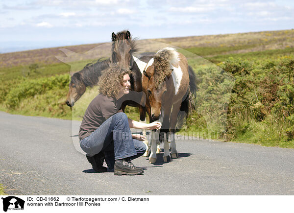 Frau mit Dartmoor Hill Ponies / woman with Dartmoor Hill Ponies / CD-01662