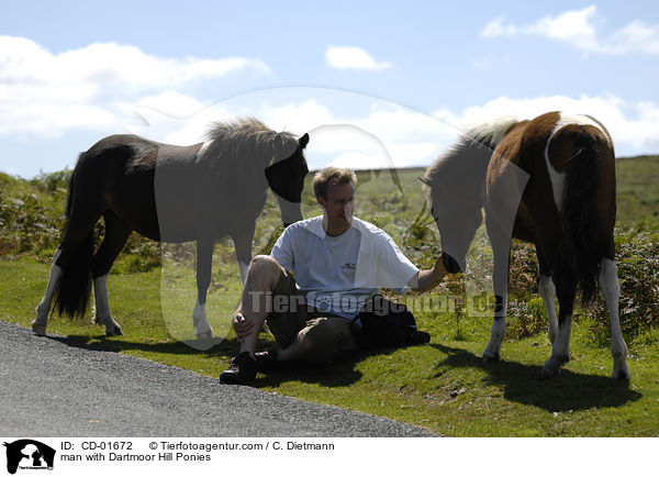 Mann mit Dartmoor Hill Ponies / man with Dartmoor Hill Ponies / CD-01672