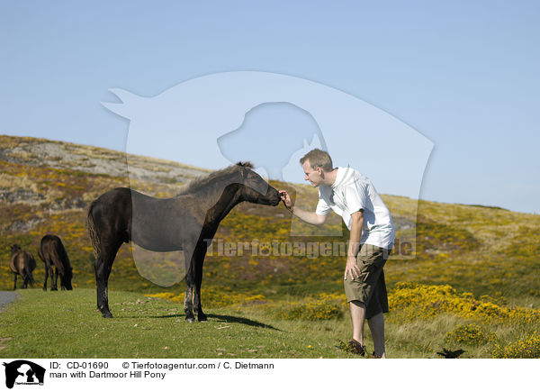 man with Dartmoor Hill Pony / CD-01690