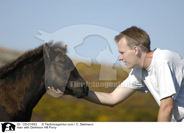 man with Dartmoor Hill Pony / CD-01693