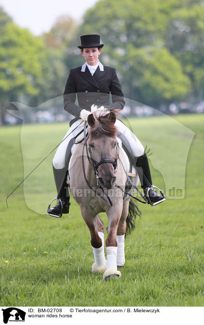 Frau reitet Dlmener Wildpferd / woman rides horse / BM-02708