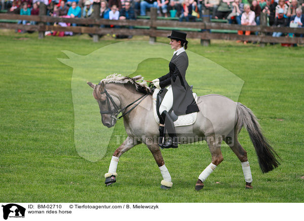 Frau reitet Dlmener Wildpferd / woman rides horse / BM-02710