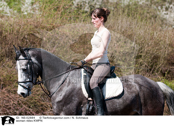 Frau reitet KWPN / woman rides KWPN / NS-02884