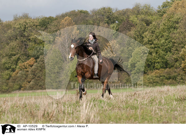 Frau reitet KWPN / woman rides KWPN / AP-10529