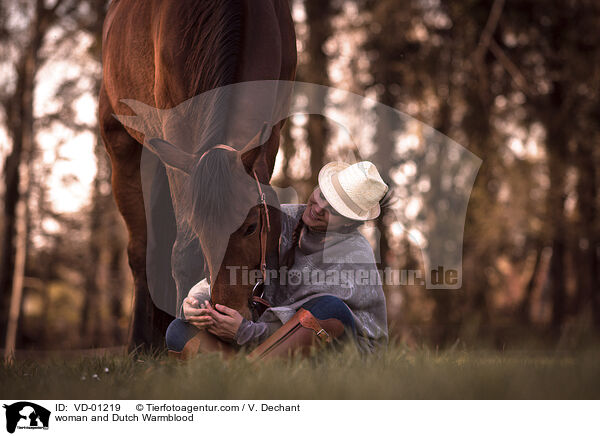 woman and Dutch Warmblood / VD-01219