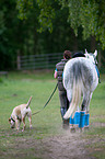 woman with horse and dog