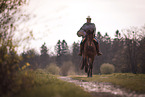 woman rides Dutch Warmblood