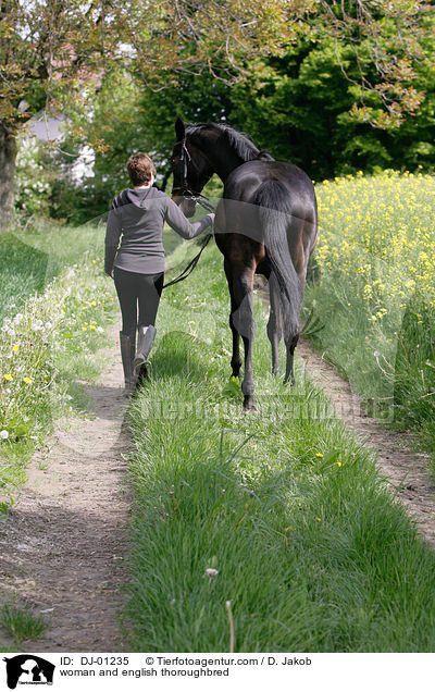 woman and english thoroughbred / DJ-01235