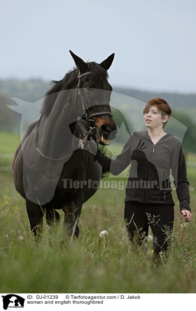 Frau und Englisches Vollblut / woman and english thoroughbred / DJ-01239