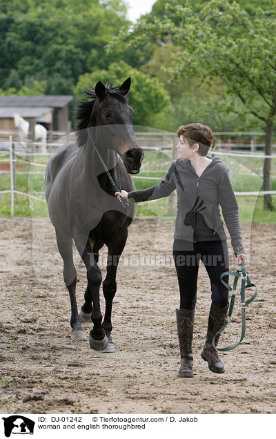 woman and english thoroughbred / DJ-01242