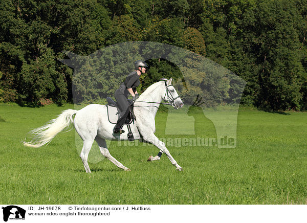 Frau reitet Englisches Vollblut / woman rides english thoroughbred / JH-19678