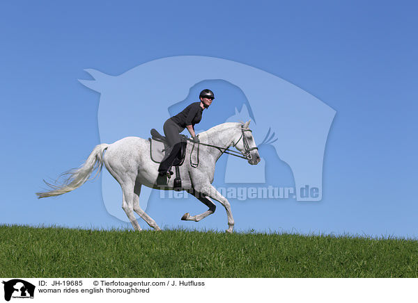 Frau reitet Englisches Vollblut / woman rides english thoroughbred / JH-19685