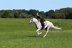 woman rides english thoroughbred