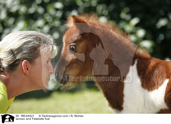 Frau und Falabella Fohlen / woman and Falabella foal / RR-44021