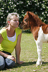 woman and Falabella foal