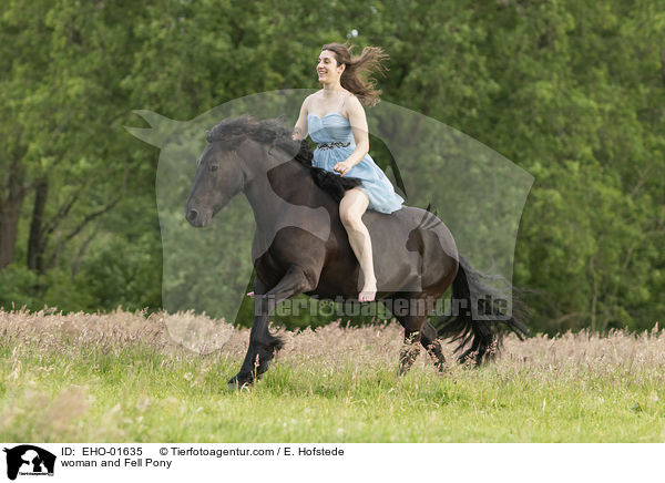 woman and Fell Pony / EHO-01635