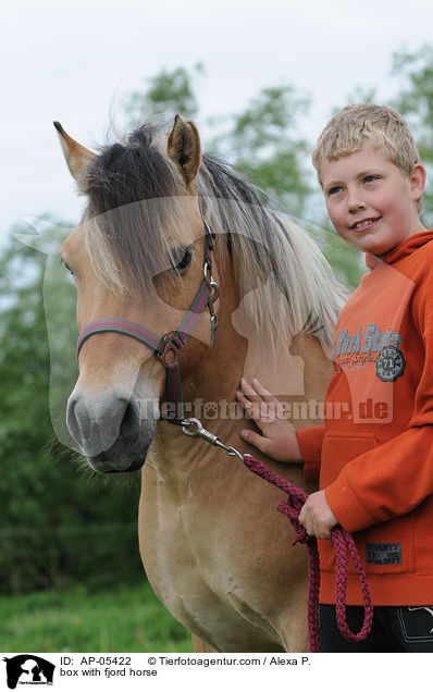 Junge mit Fjordpferd / box with fjord horse / AP-05422