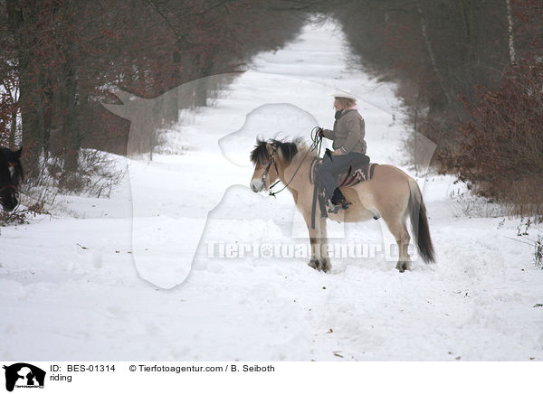 riding / BES-01314