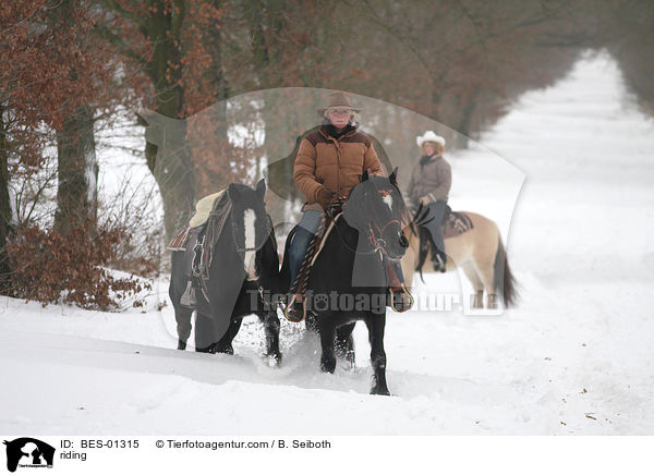 Westernreiten / riding / BES-01315