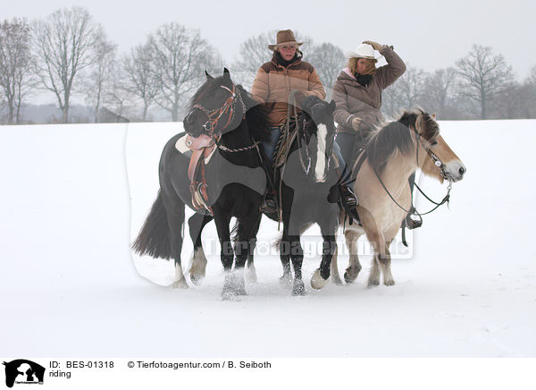 Westernreiten / riding / BES-01318
