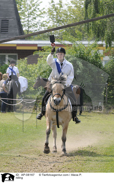 Ringreiten / riding / AP-08167