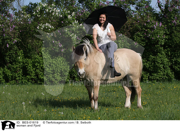 Frau mit Fjordpferd / woman and Fjord / BES-01619