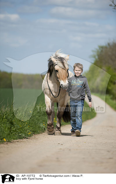 Junge mit Fjordpferd / boy with Fjord horse / AP-10772