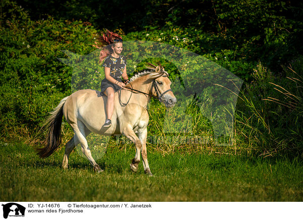 Frau reitet Fjordpferd / woman rides Fjordhorse / YJ-14676