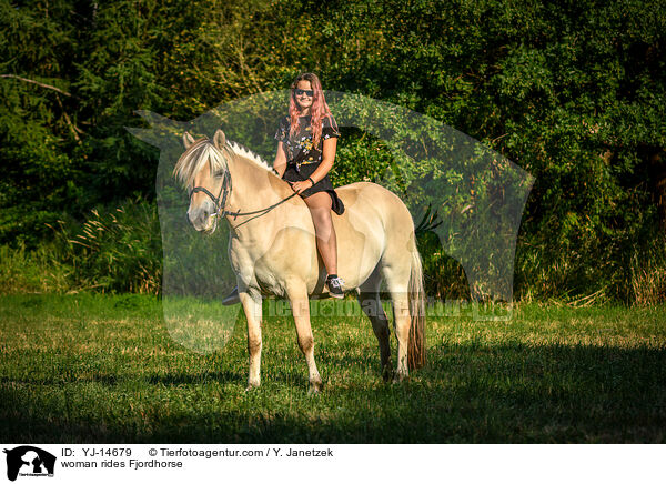 Frau reitet Fjordpferd / woman rides Fjordhorse / YJ-14679