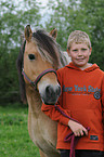 box with fjord horse