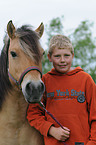 box with fjord horse